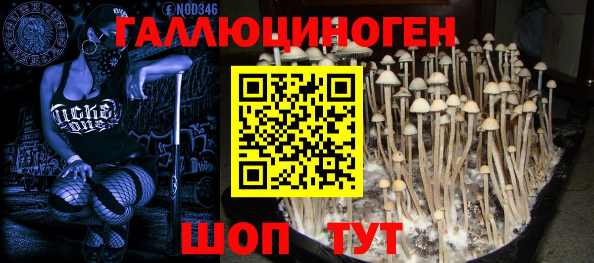 Можайск  Псилоцибиновые грибы GOLDEN TEACHER  Вход с VPN  Галлюциногенные грибы ЛСД 